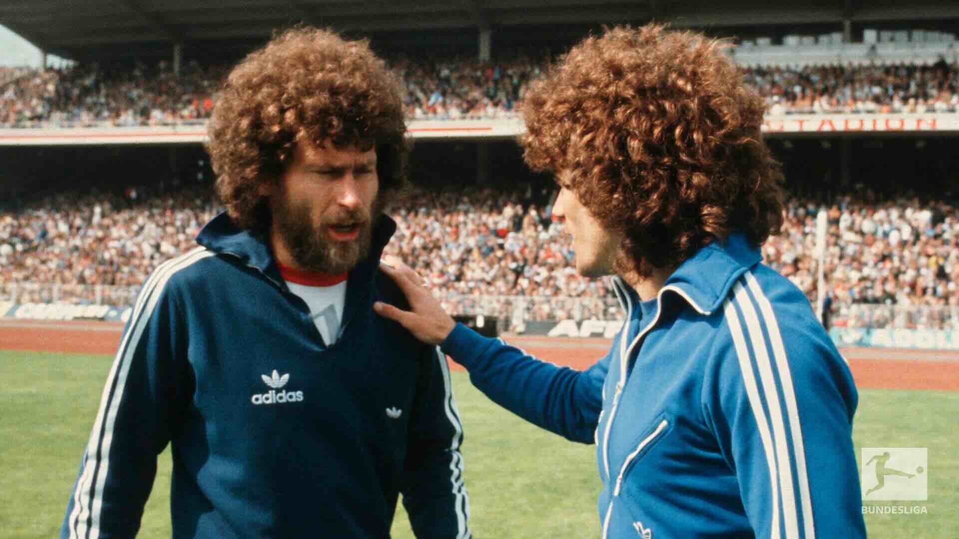 July 2025 - Newsletter